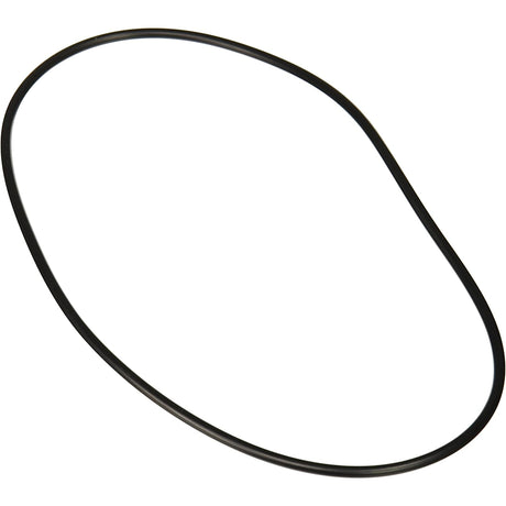 Jandy Pro Series Backplate O-Ring | R0446300