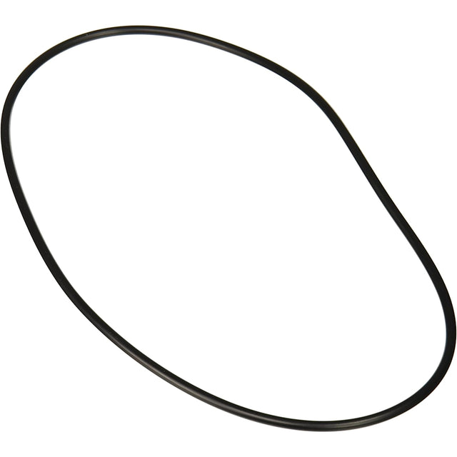 Jandy Pro Series Backplate O-Ring | R0446300