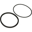 Jandy Pro Series Lid Seal & O-Ring | R0449100