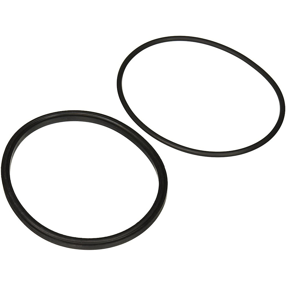 Jandy Pro Series Lid Seal & O-Ring | R0449100