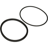 Jandy Pro Series Lid Seal & O-Ring | R0449100