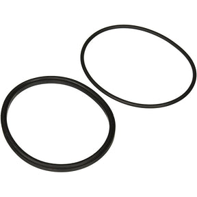 Jandy Pro Series Lid Seal & O-Ring | R0449100