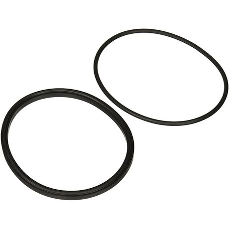 Jandy Pro Series Lid Seal & O-Ring | R0449100