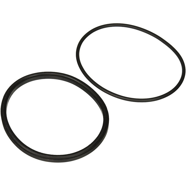 Jandy Pro Series Lid Seal & O-Ring | R0449100