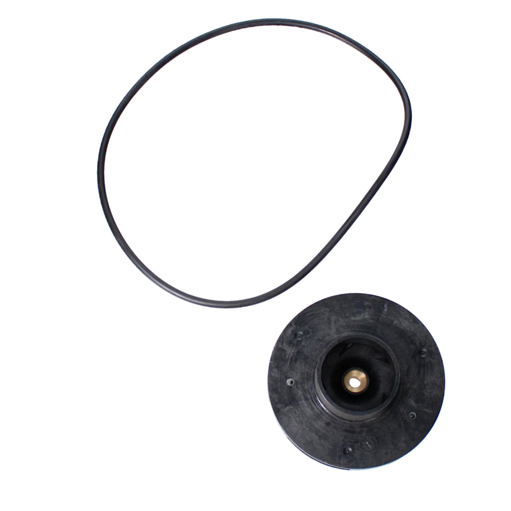 Jandy FHPM 1HP Pump Impeller & Screw w/ O-Ring | R0479602 2