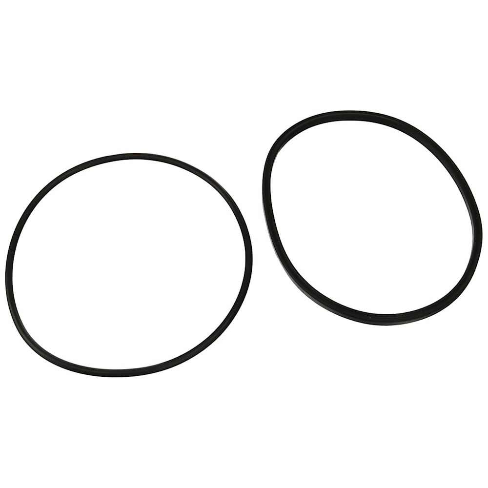 Jandy Pro Series FHP Lid O-Ring | R0480200