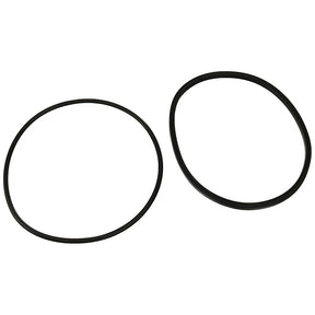 Jandy Pro Series FHP Lid O-Ring | R0480200