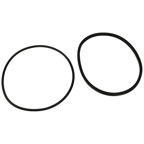 Jandy Pro Series FHP Lid O-Ring | R0480200