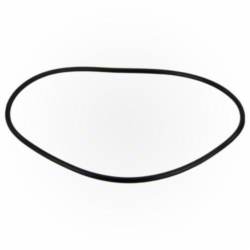 Jandy Pro Series FHP Backplate O-Ring | R0480300