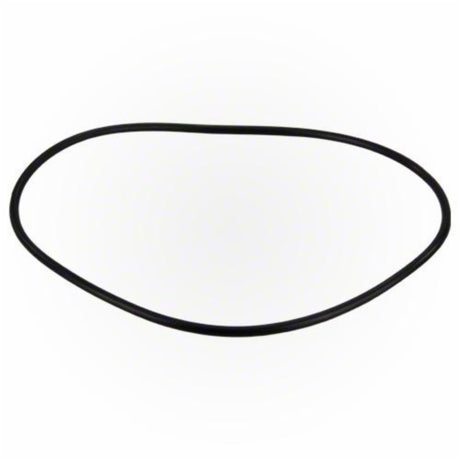 Jandy Pro Series FHP Backplate O-Ring | R0480300