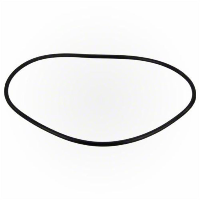 Jandy Pro Series FHP Backplate O-Ring | R0480300