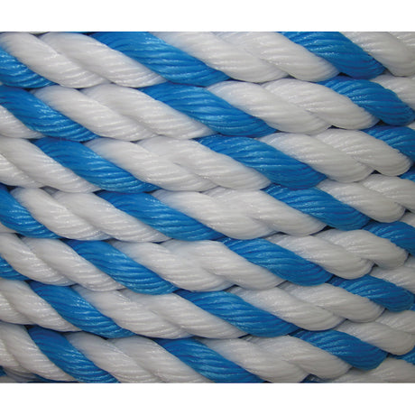  Blue/White | PTW24003XO4242 - MPOPR753"