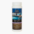 Natural Chemistry Spa pH Increaser, 2.49 lb Bottle | 14202NCM