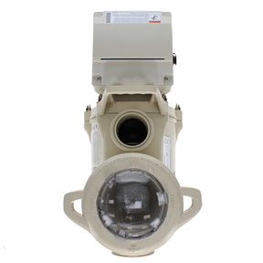 Pentair IntelliFloXF VSF Variable Speed Pump, 3.95 THP, 230 V, 50/60 Hz | 022056