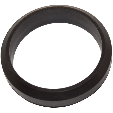 Pentair MiniMax Plus 2â€³ Rubber In/Out Sleeve | 71895