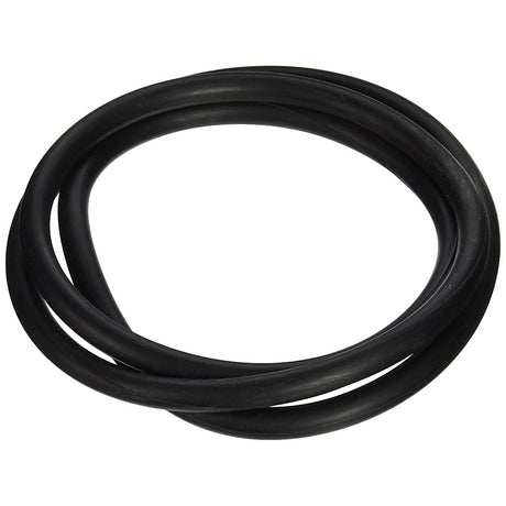 Pentair Nautilus Tank 18 O-Ring | 152127"