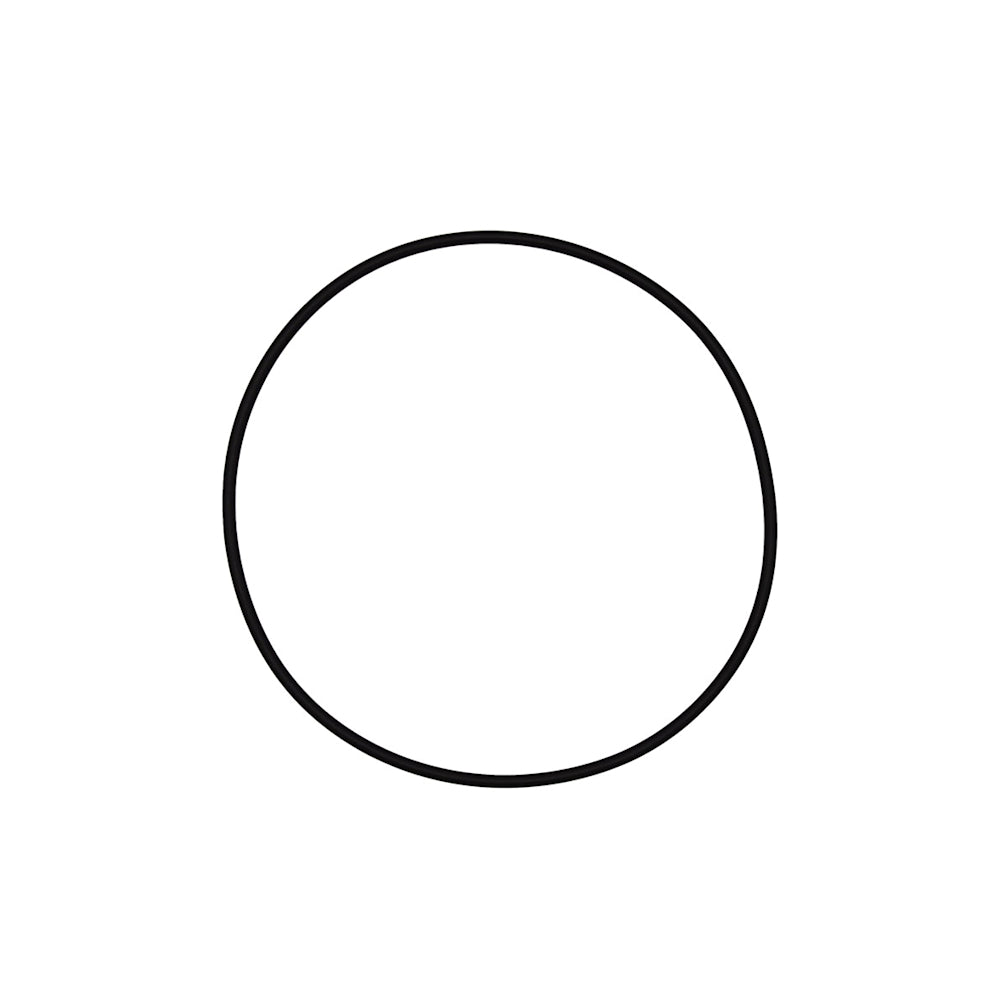 Pentair Tagelus/Triton Lid O-Ring | 152517