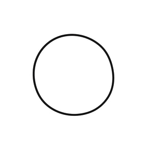 Pentair Tagelus/Triton Lid O-Ring | 152517