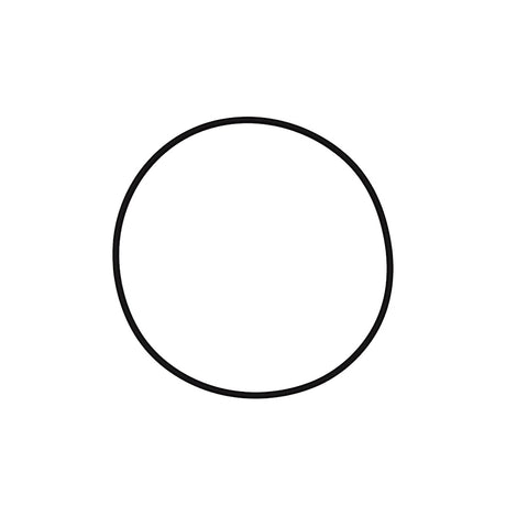 Pentair Tagelus/Triton Lid O-Ring | 152517