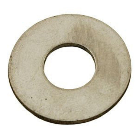 Pentair 3/8 SS Washer | 154418"