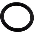 Pentair O-Ring Drain Plug | 192115Z