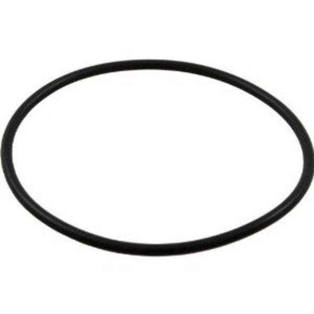 Pentair #2-146 Bulkhead O-Ring | 192320