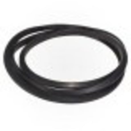 Pentair O-Ring Seal Fns Tnk | 195008