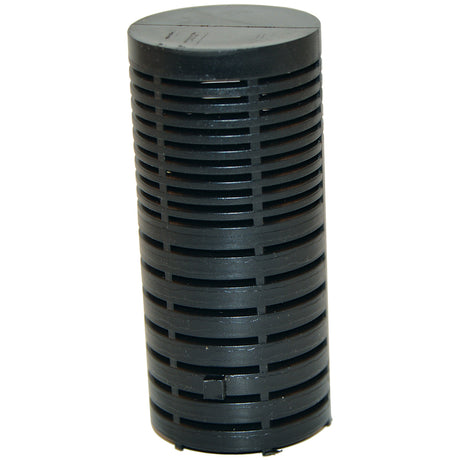 Pentair Drain Lateral Tube | 24201-0058