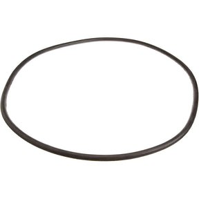Pentair 25 Tank Cord Ring | 24850-0009"