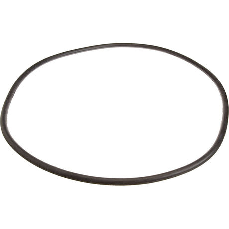 Pentair 25 Tank Cord Ring | 24850-0009"