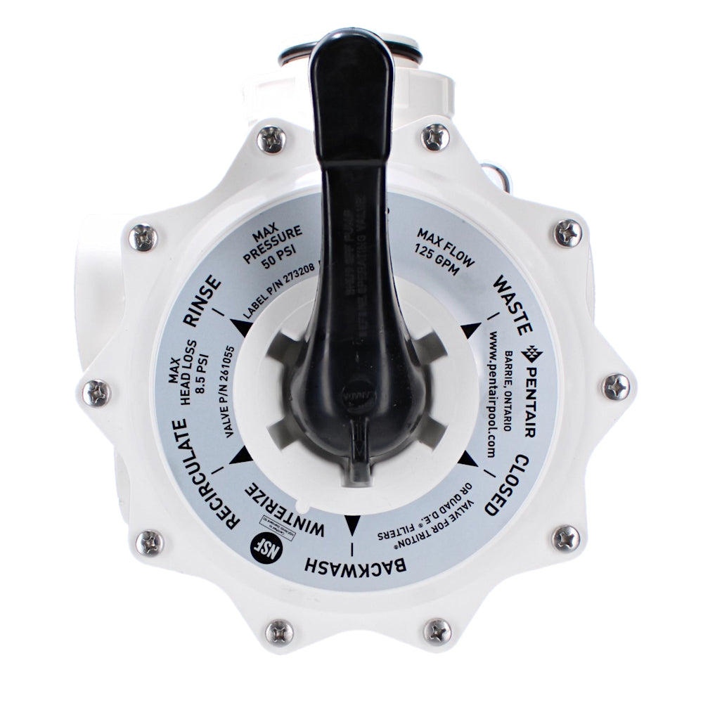 Pentair Sand Multiport Valve, 2 Side Mount | 261055"