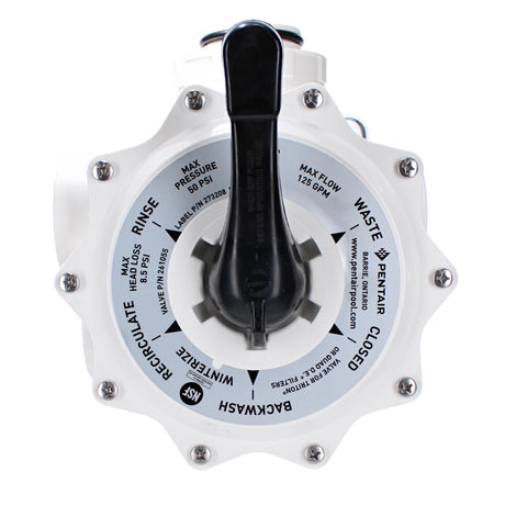 Pentair Sand Multiport Valve, 2 Side Mount | 261055"