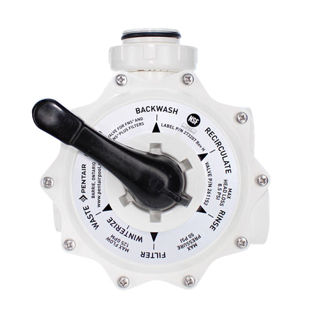 Pentair DE Multiport Valve, 2 Side Mount | 261152"