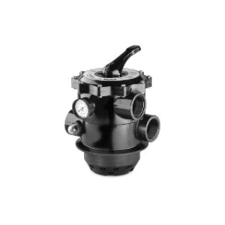 Pentair Tagelus 2 6-Way Clamp Style Valve Sand Filter | 261185"