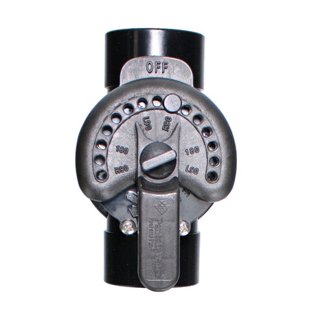 Pentair 2 2-Way Compool CPVC Valve | 263027"