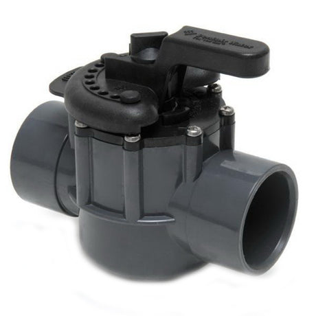 Pentair 2 2-Way Compool PVC Valve | 263029" 2