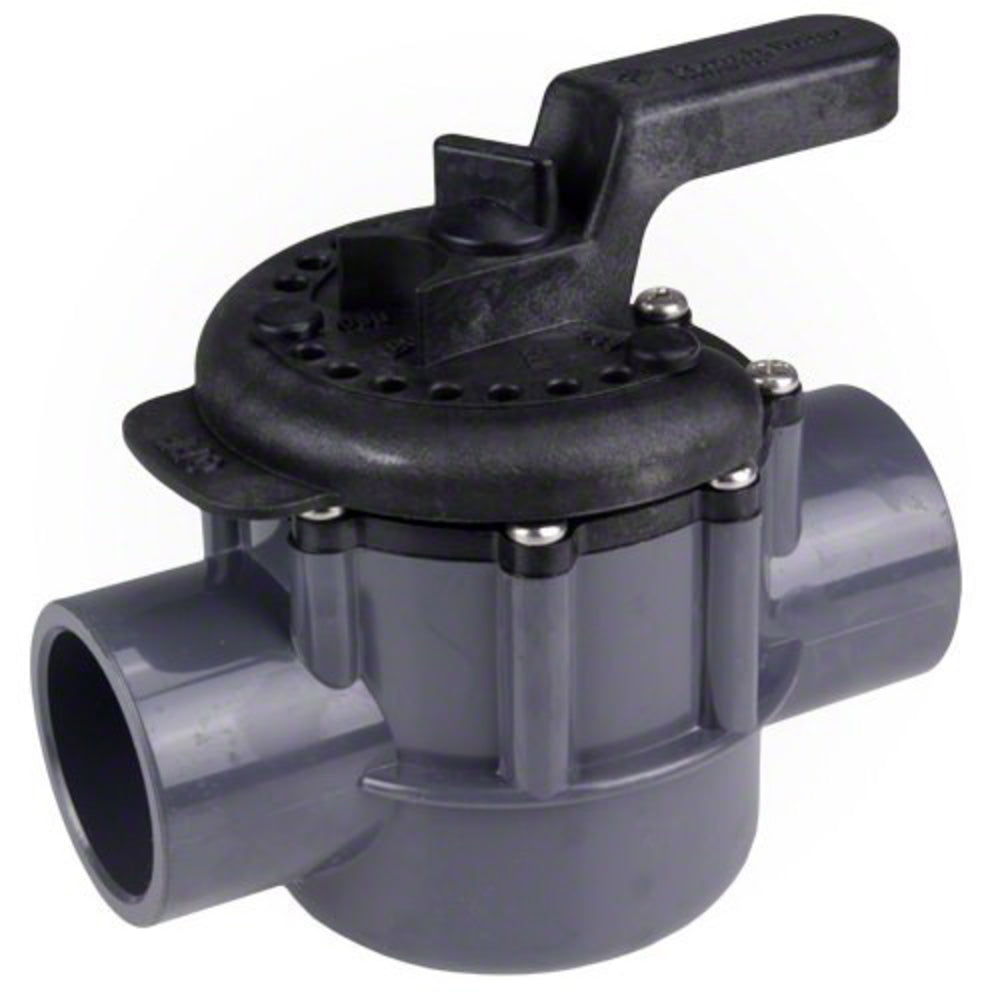 Pentair 1-1/2 2-Way Compool PVC Valve | 263038" 2