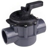 Pentair 1-1/2 2-Way Compool PVC Valve | 263038" 2
