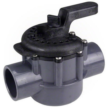 Pentair 1-1/2 2-Way Compool PVC Valve | 263038" 2