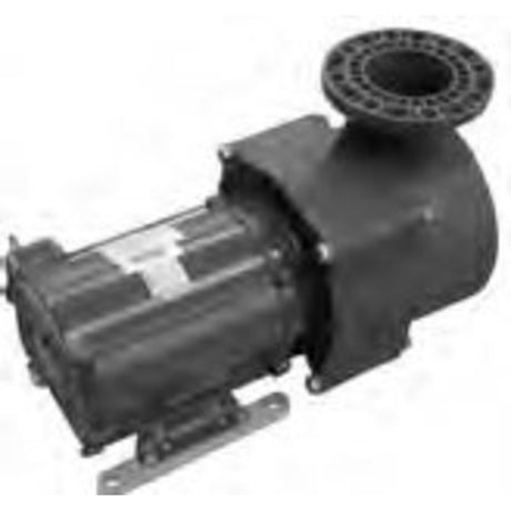 Pentair EQ Series Commercial Plastic Pool Pump, 10 HP, 230 V, Single Phase, with Strainer | 340238