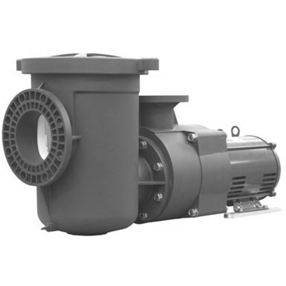 Pentair EQ Series Commercial Plastic Pool Pump, 10 HP, 208-230/460 V, Three Phase, with Strainer | 340606 2