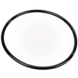 Pentair Pump Lid O-Ring | 350013Z