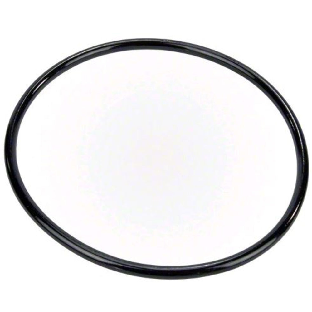Pentair Pump Lid O-Ring | 350013Z