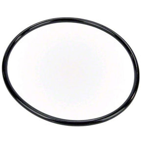 Pentair Pump Lid O-Ring | 350013Z
