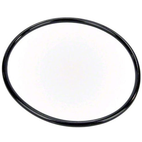 Pentair Pump Lid O-Ring | 350013Z