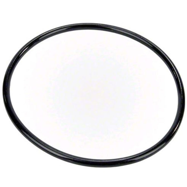 Pentair Pump Lid O-Ring | 350013Z
