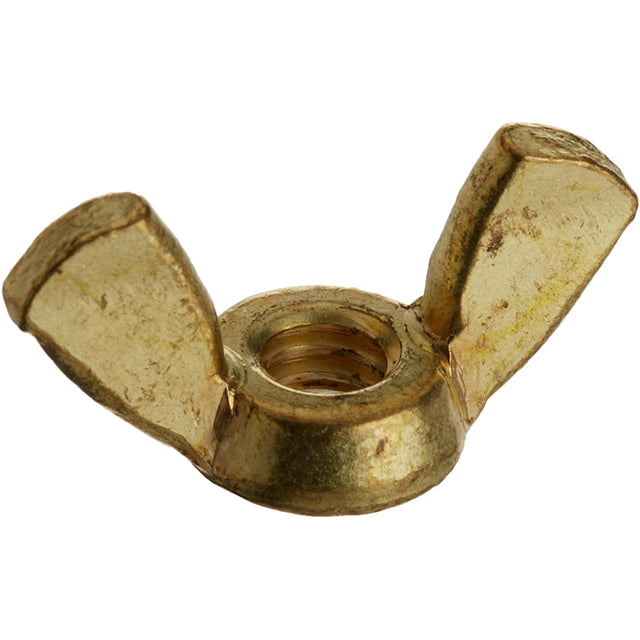 Pentair Nut Wing Kit .25 20 | 35402-0074Z"
