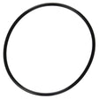 Pentair SuperFlo Strainer O-Ring | 357255Z