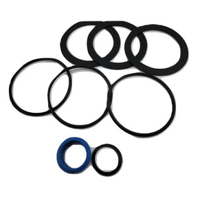 Pentair Kit O-Ring Svc Single | 523031