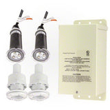 Pentair 2 GloBrite Color Kit 100' w/ 300W Transformer + 2 Vinyl Niches, 40 lbs | 620081 3